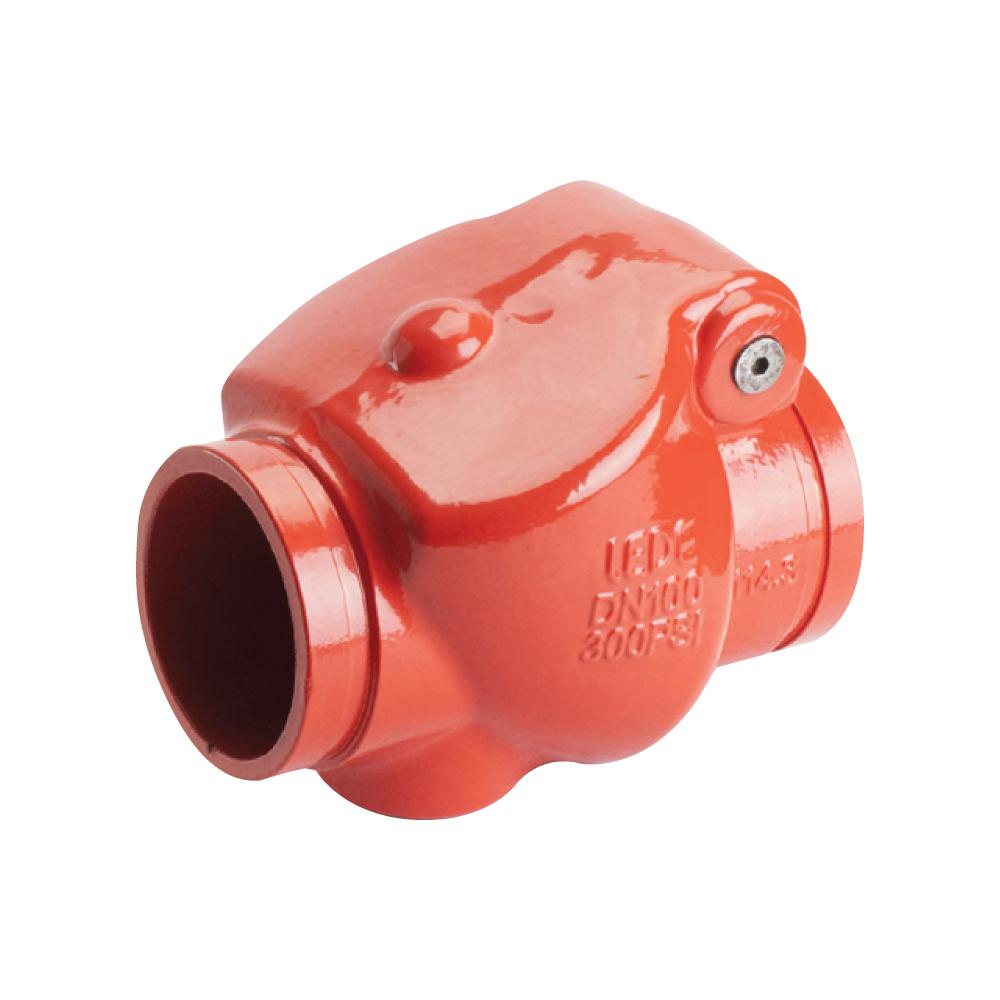Grooved Check Valve 
