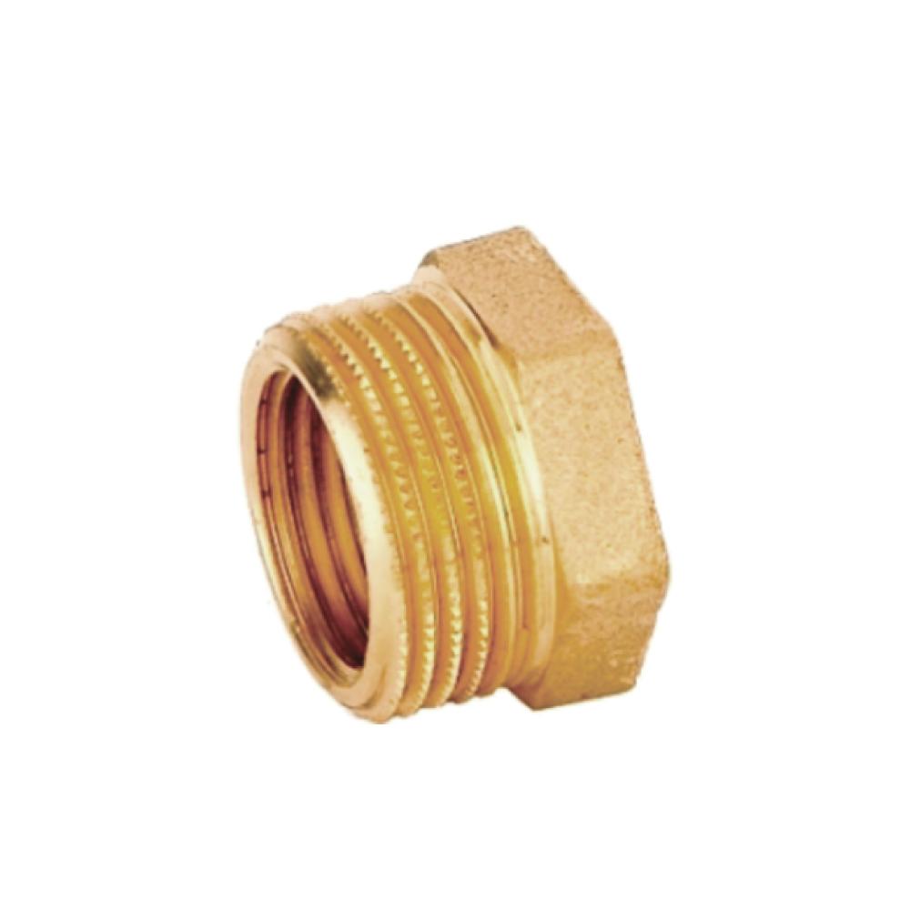 Brass Reducing Bushing (M-F) 