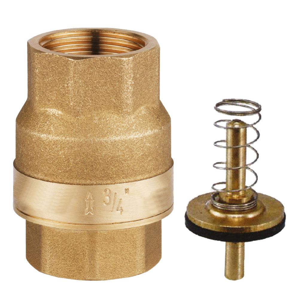 heavy check valve