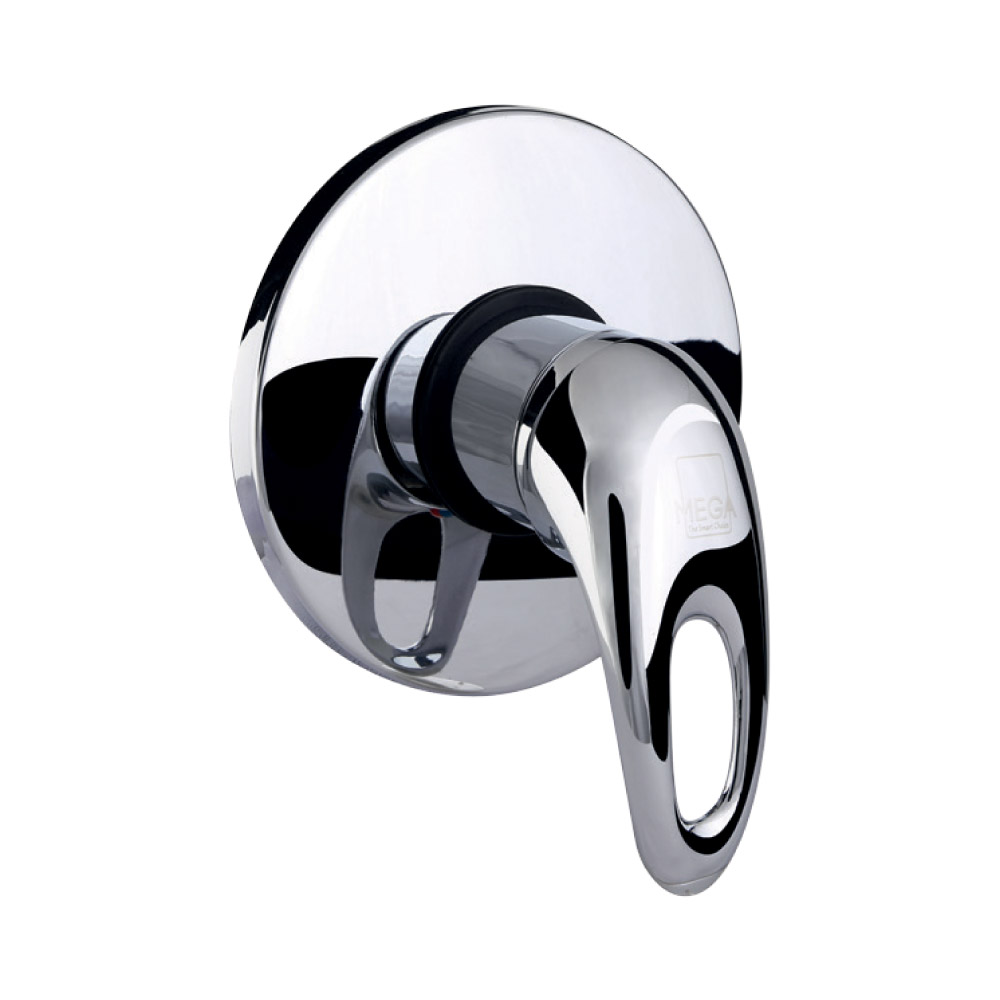 Mega Interputs Wall Mounted Faucet