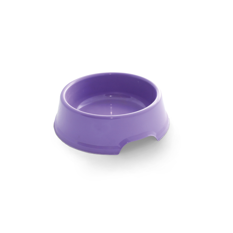 Small Pet Bowl